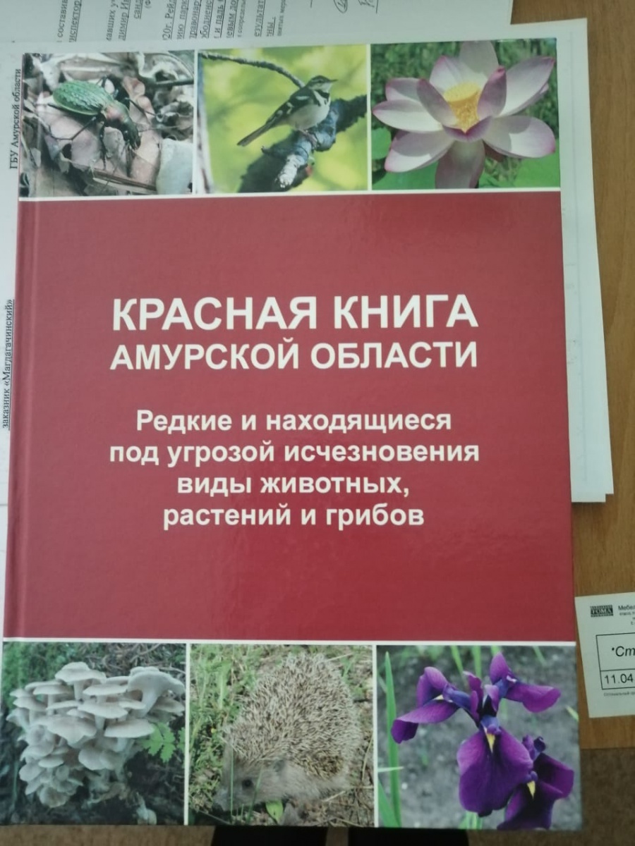 Издан печатный вариант Красной книги Амурской области
