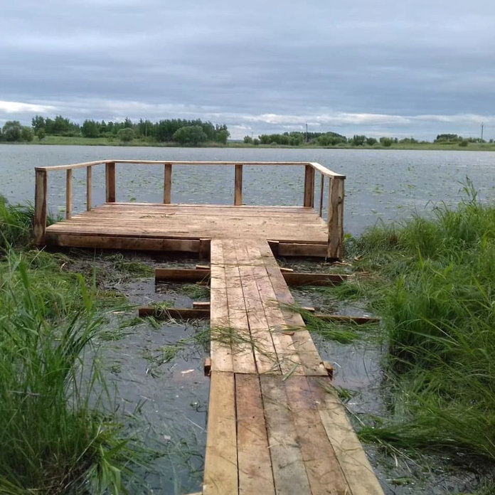 На озере Осиновом построили помост, чтобы любоваться лотосами
