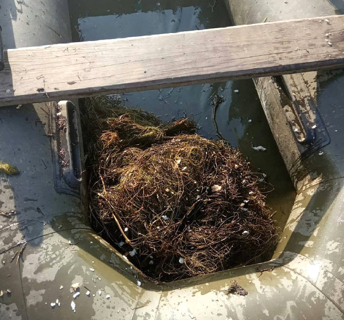 Охотоведы Дирекции чистят амурские водоемы от мусора и обрывков сетей
