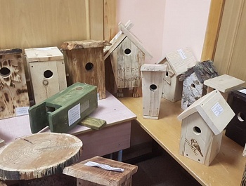 Более 150 «домиков» для птиц и белок сделали ребята для областного конкурса